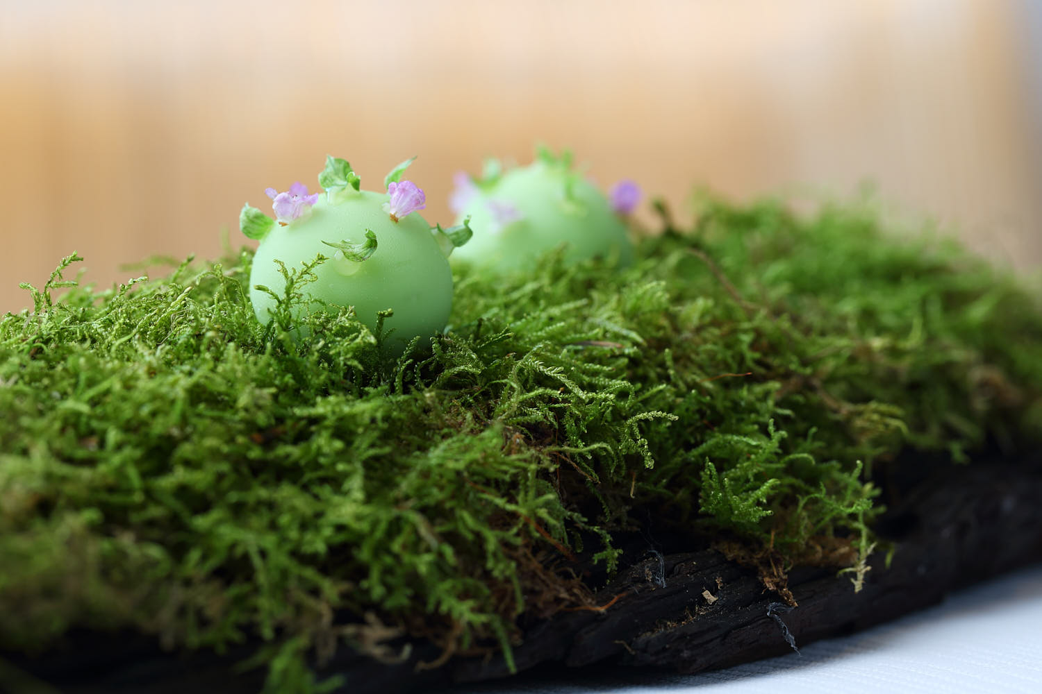 Elegant fine dining dish featuring a delicate edible moss like arrangement.