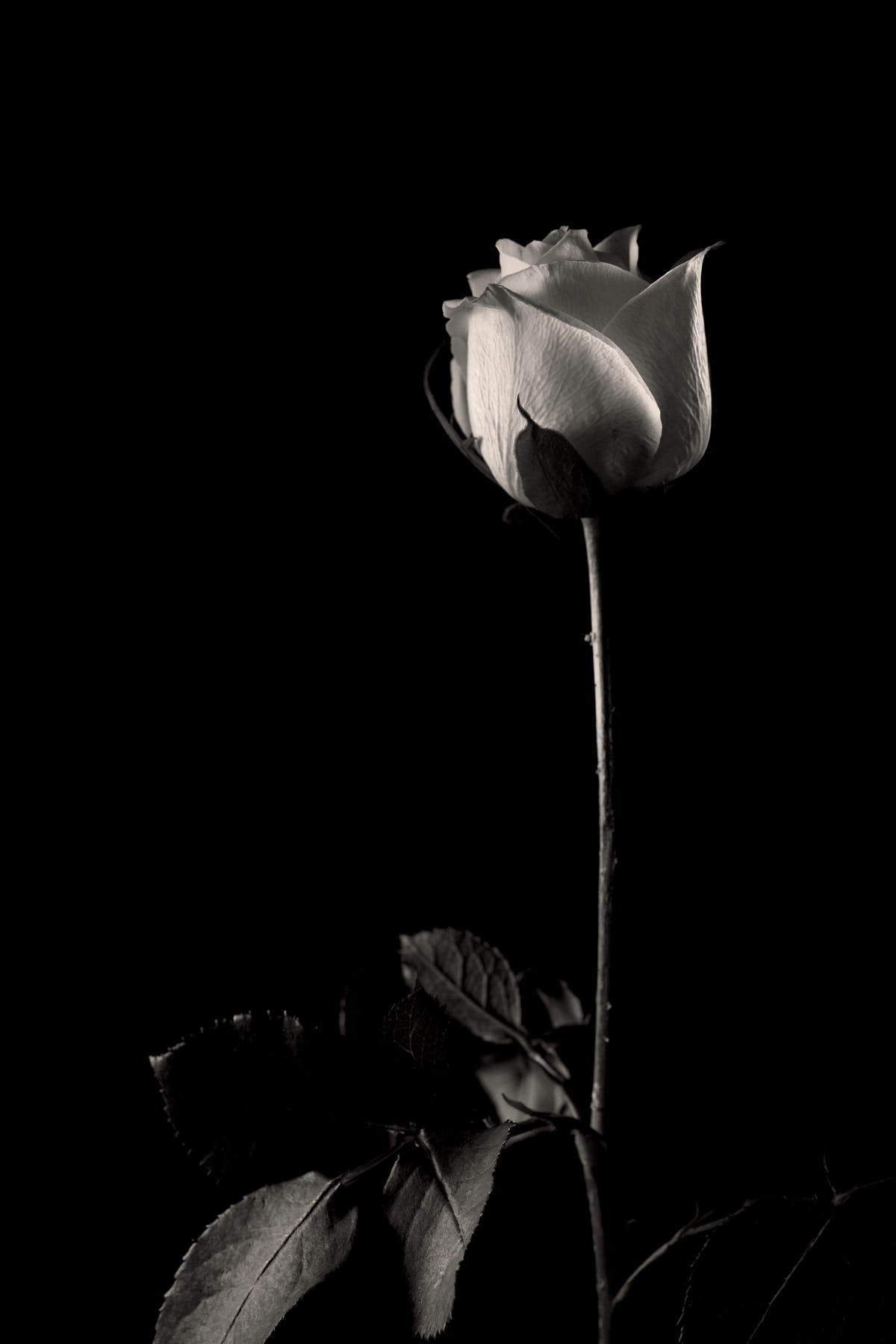 Old man resting on cardboard while collecting cardboard and cans in an alley at night in Clarke Quay, Singapore.