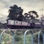 Fine art close-up of a fence with a fern, blurred KTM train passing in the background at Commonwealth Drive, Singapore.