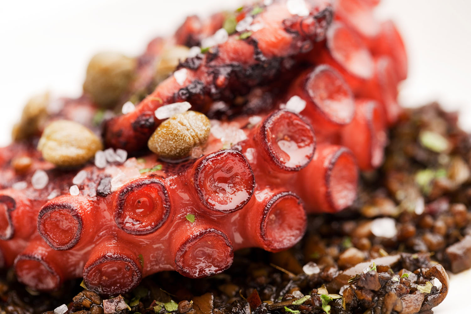 Close-up of gourmet grilled octopus with charred edges, drizzled with citrus-infused olive oil and garnished with microgreens.