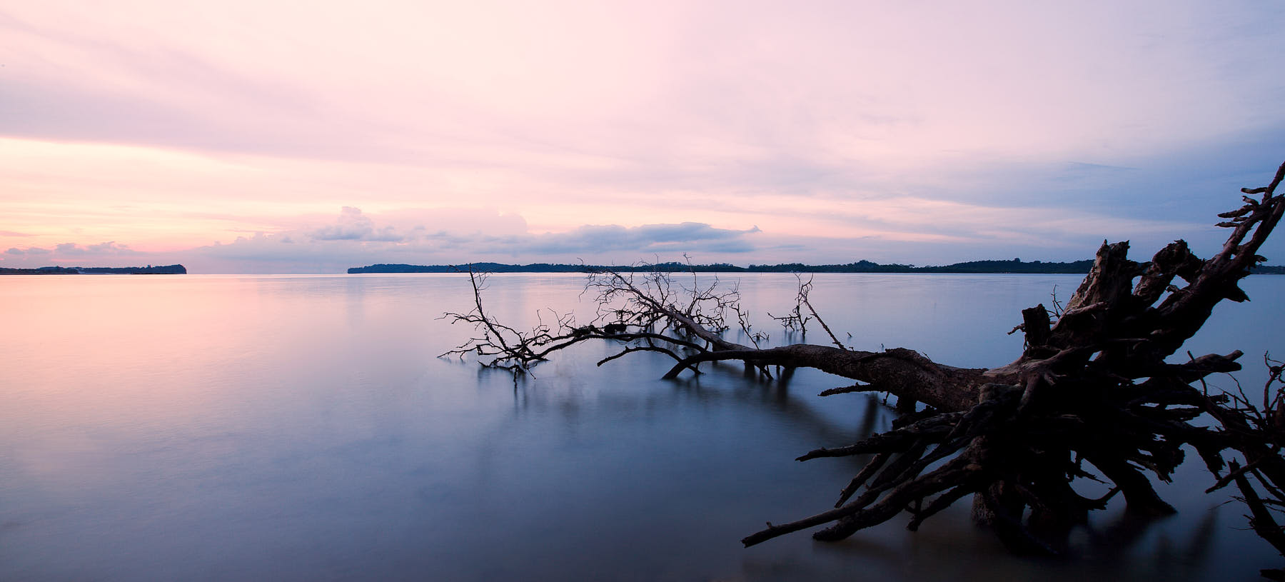 Fine art photo of a fallen tree at Pasir Ris Beach during high tide at sunset.