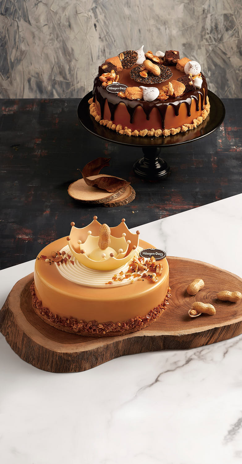 Peanut butter ice cream cake, topped with crushed peanuts and a chocolate drizzle.