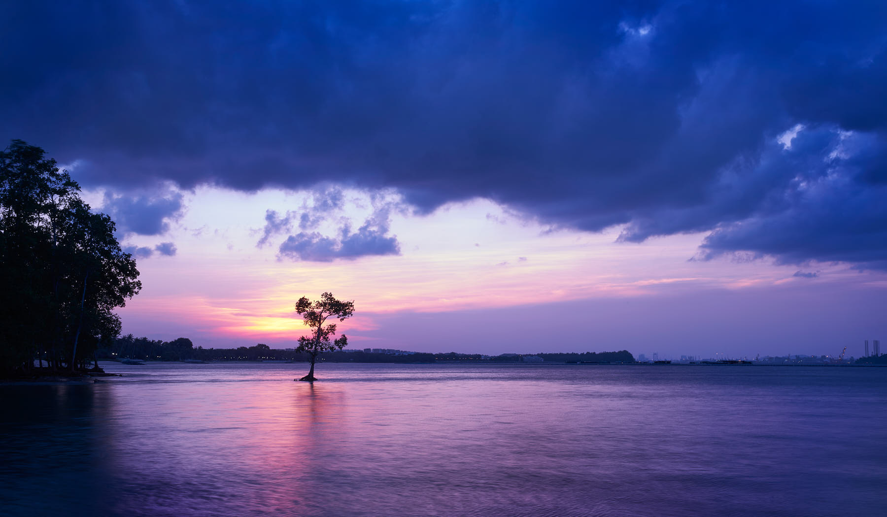 A lone tree standing in the sea off the swamp of Pasir Ris during sunset, surrounded by serene water with orange and blue skies.