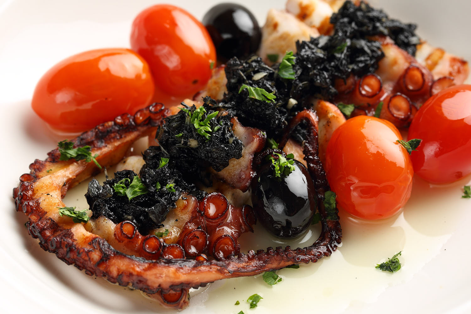 Flavorful dish of octopus paired with spiced tomato sauce and fresh herbs.