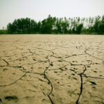 Floodwaters receded, leaving soil devastated in Peshawar, Pakistan, August 2010.