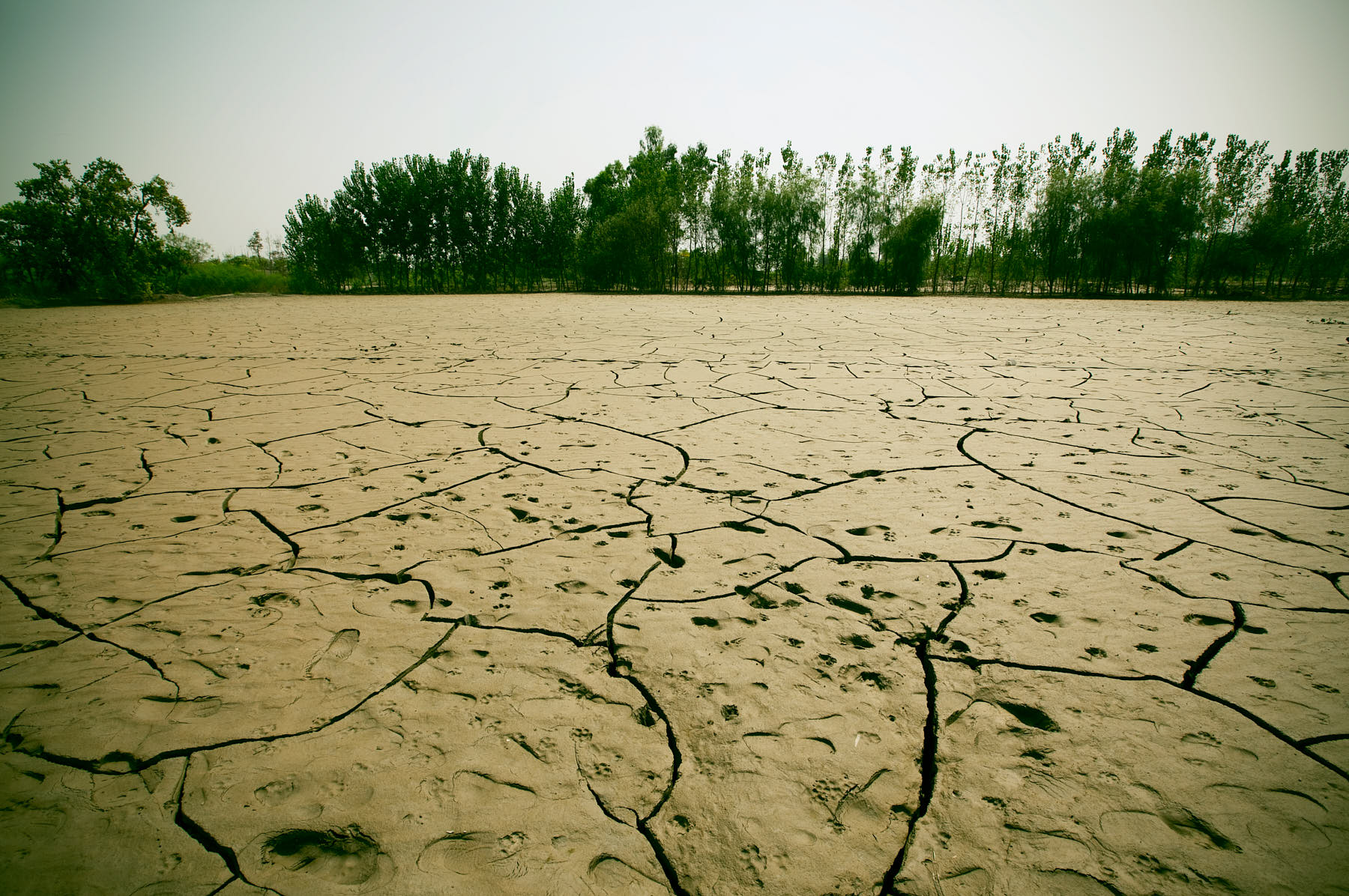 Floodwaters receded, leaving soil devastated in Peshawar, Pakistan, August 2010.