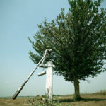 A lone tree survives the flood while the water pump was destroyed in Peshawar, Pakistan, August 2010.