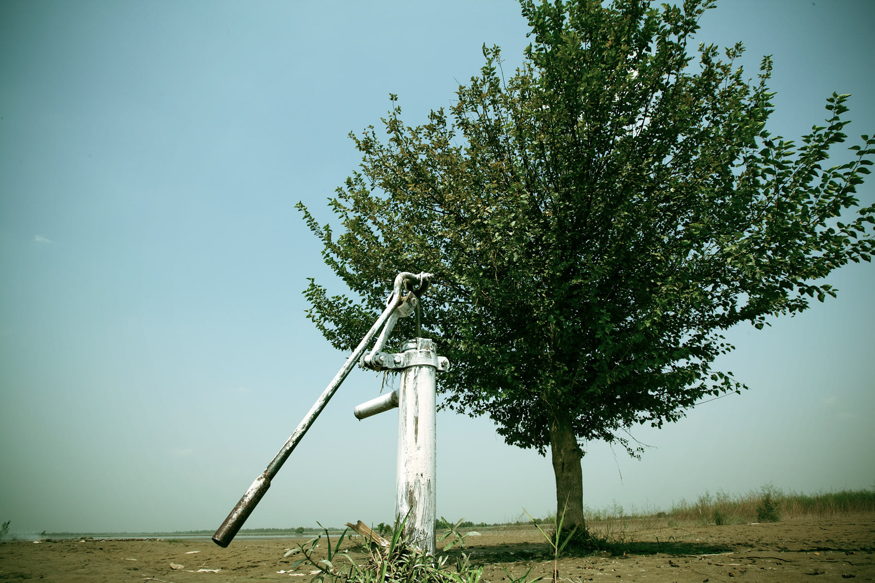 A lone tree survives the flood while the water pump was destroyed in Peshawar, Pakistan, August 2010.