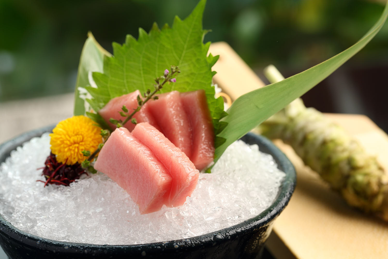 Vibrant sashimi platter with assorted fresh fish slices artfully arranged on ice.