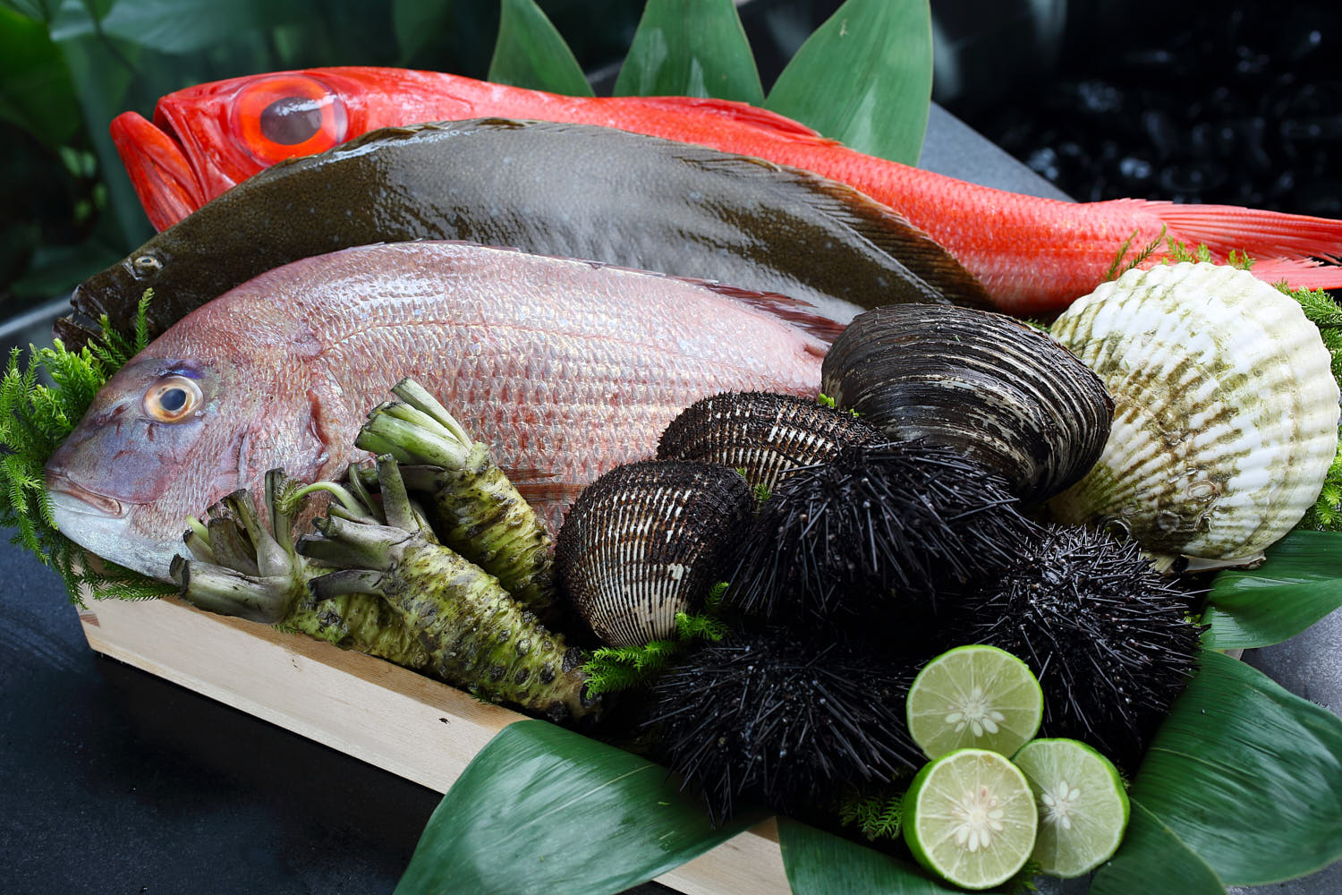 Premium seafood platter with red snapper, flatfish, uni, clams, and fresh wasabi root.