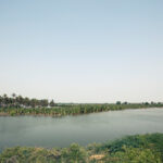 A banana plantation submerged by floodwaters in Sujawal, Pakistan, August 2010.