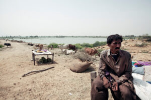 A bewildered herdsman seated in uncertainty amid flood damage in Sujawal, Pakistan, August 2010.