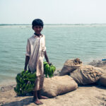 A boy trying to salvage the remains of a drowned banana plantation in Sujawal, Pakistan, August 2010.