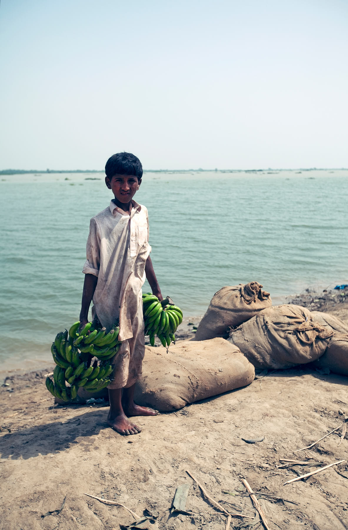 A boy trying to salvage the remains of a drowned banana plantation in Sujawal, Pakistan, August 2010.