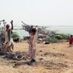 A family of four building a shelter using dried branches in Sujawal, Pakistan, August 2010.