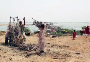 A family of four building a shelter using dried branches in Sujawal, Pakistan, August 2010.