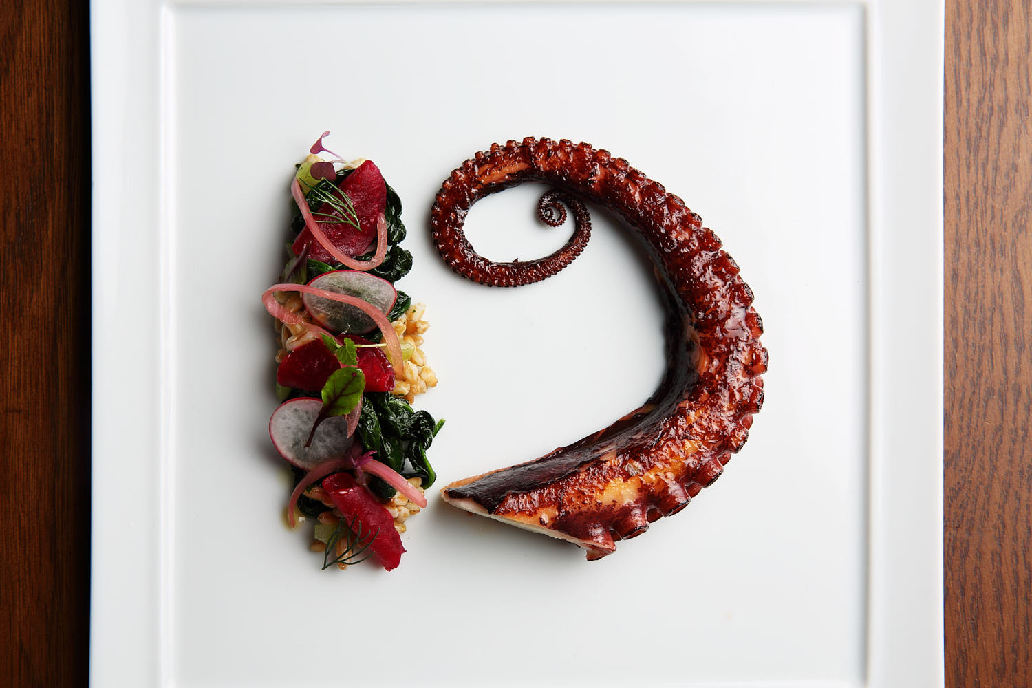 Artistic top-down photo of tender octopus served with salad.